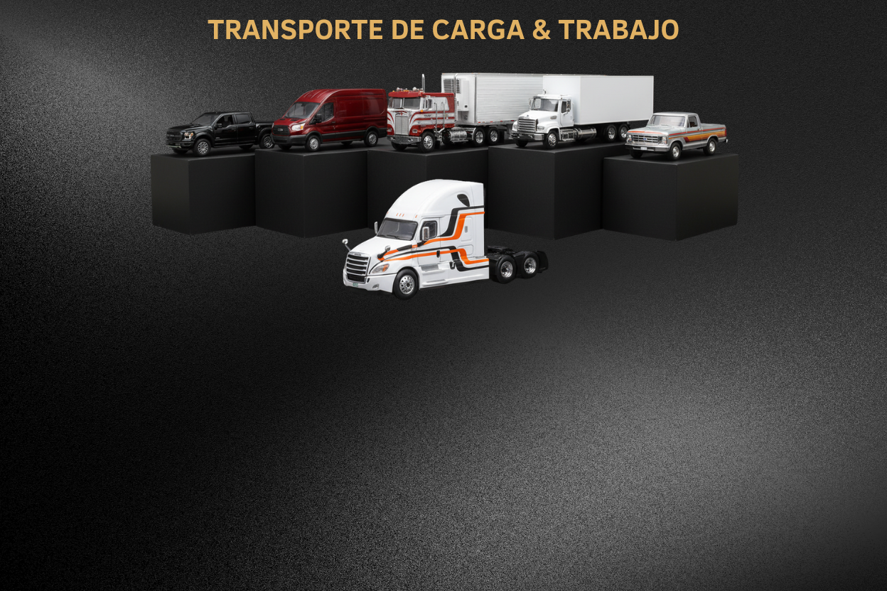 Transporte de Carga & Trabajo