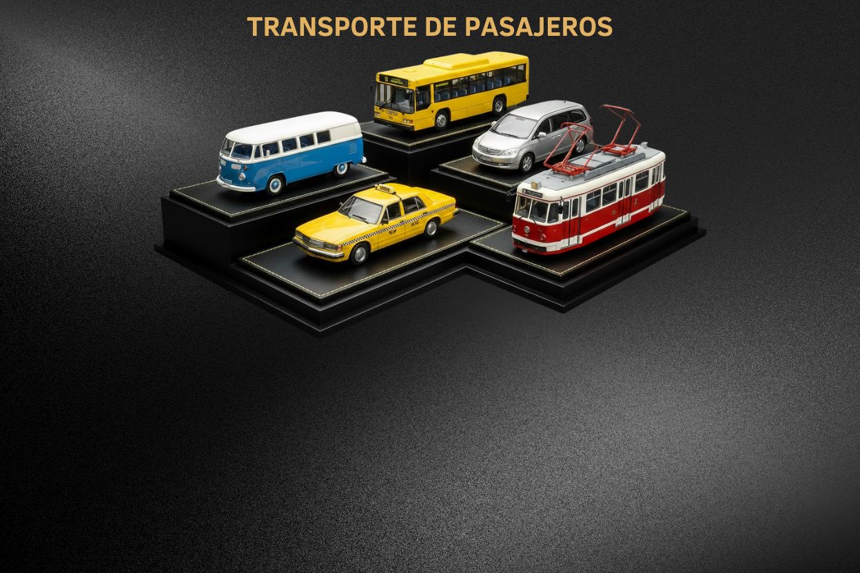 Transporte de Pasajeros