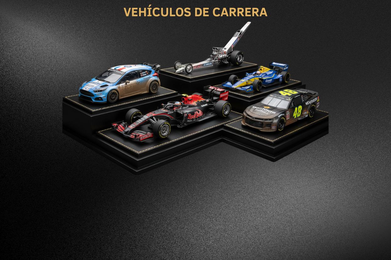 Vehículos de Carrera